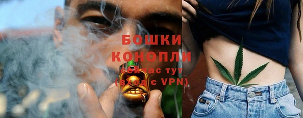 сатива Краснослободск
