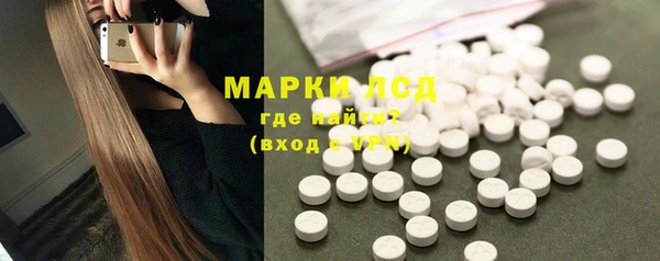 сатива Краснослободск