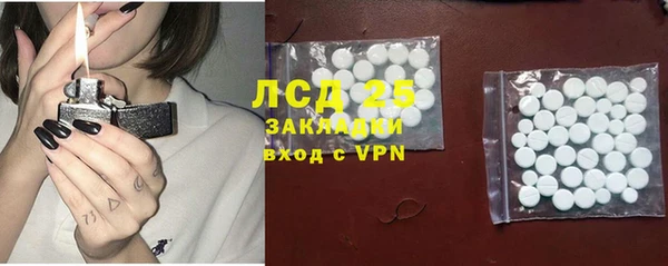 сатива Краснослободск
