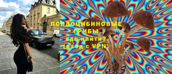 сатива Краснослободск