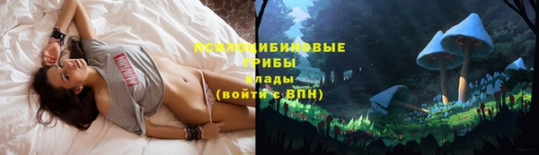 сатива Краснослободск