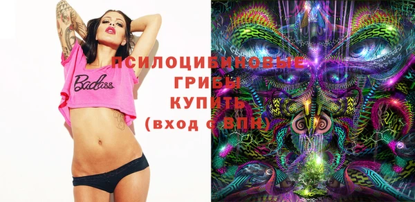 apvp Красноперекопск