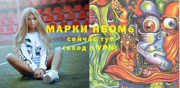 сатива Краснослободск