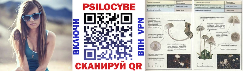 Купить где  Алзамай  Псилоцибиновые грибы Magic Shrooms 
